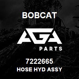 7222665 Bobcat HOSE HYD ASSY | AGA Parts