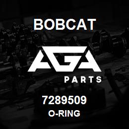 7289509 Bobcat O-RING | AGA Parts