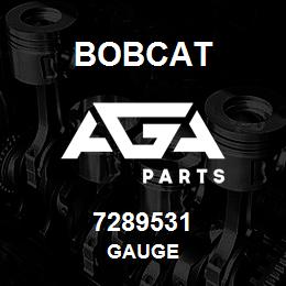 7289531 Bobcat GAUGE | AGA Parts