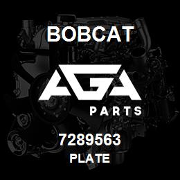 7289563 Bobcat PLATE | AGA Parts