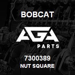 7300389 Bobcat NUT SQUARE | AGA Parts