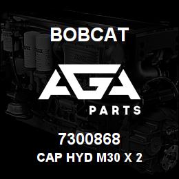 7300868 Bobcat CAP HYD M30 X 2 | AGA Parts
