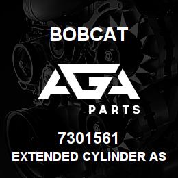 7301561 Bobcat EXTENDED CYLINDER ASSY | AGA Parts