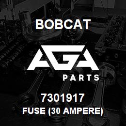 7301917 Bobcat FUSE (30 AMPERE) | AGA Parts