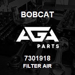 7301918 Bobcat FILTER AIR | AGA Parts