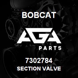7302784 Bobcat SECTION VALVE | AGA Parts
