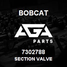 7302788 Bobcat SECTION VALVE | AGA Parts