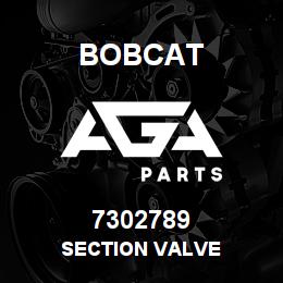 7302789 Bobcat SECTION VALVE | AGA Parts