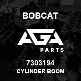 7303194 Bobcat CYLINDER BOOM | AGA Parts