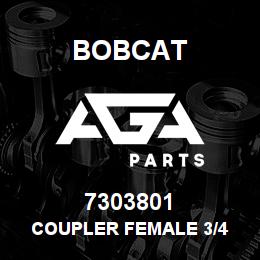 7303801 Bobcat COUPLER FEMALE 3/4 | AGA Parts