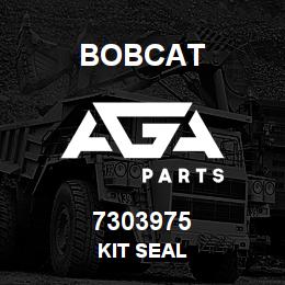 7303975 Bobcat KIT SEAL | AGA Parts
