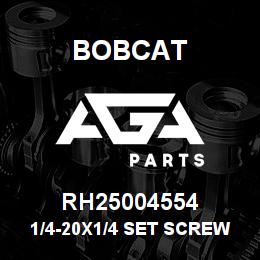 RH25004554 Bobcat 1/4-20X1/4 SET SCREW | AGA Parts