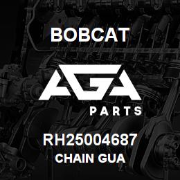 RH25004687 Bobcat CHAIN GUA | AGA Parts