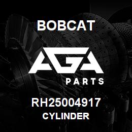 RH25004917 Bobcat CYLINDER | AGA Parts