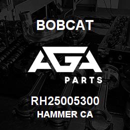 RH25005300 Bobcat HAMMER CA | AGA Parts