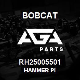 RH25005501 Bobcat HAMMER PI | AGA Parts