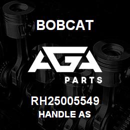RH25005549 Bobcat HANDLE AS | AGA Parts