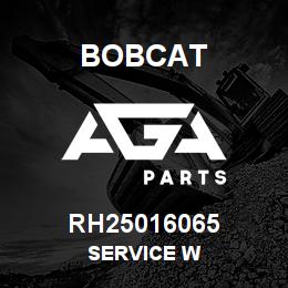 RH25016065 Bobcat SERVICE W | AGA Parts