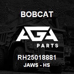 RH25018881 Bobcat JAWS - HS | AGA Parts