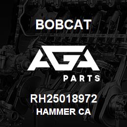 RH25018972 Bobcat HAMMER CA | AGA Parts
