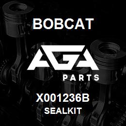 X001236B Bobcat SEALKIT | AGA Parts