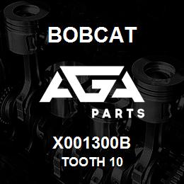 X001300B Bobcat TOOTH 10 | AGA Parts