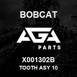 X001302B Bobcat TOOTH ASY 10 | AGA Parts