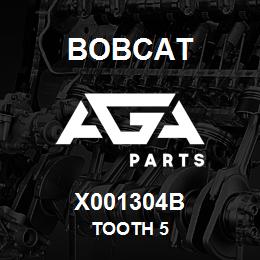 X001304B Bobcat TOOTH 5 | AGA Parts
