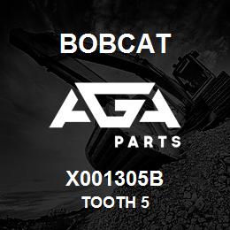 X001305B Bobcat TOOTH 5 | AGA Parts