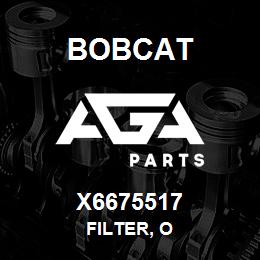 X6675517 Bobcat FILTER, O | AGA Parts