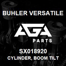 SX018920 Buhler Versatile CYLINDER, BOOM TILT - 4" X 15" (3000PSI) | AGA Parts