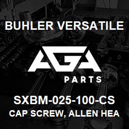 SXBM-025-100-CS Buhler Versatile CAP SCREW, ALLEN HEAD - 1/4" X 1" | AGA Parts