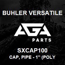 SXCAP100 Buhler Versatile CAP, PIPE - 1" (POLY) | AGA Parts