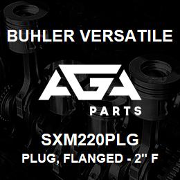 SXM220PLG Buhler Versatile PLUG, FLANGED - 2" FULL PORT | AGA Parts