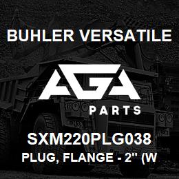 SXM220PLG038 Buhler Versatile PLUG, FLANGE - 2" (WITH 3/8" FNPT) | AGA Parts