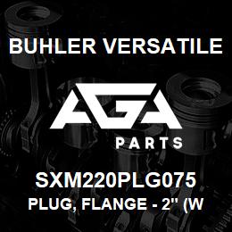SXM220PLG075 Buhler Versatile PLUG, FLANGE - 2" (WITH 3/4" FNPT) | AGA Parts