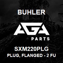 SXM220PLG Buhler Plug, Flanged - 2 Full Port | AGA Parts