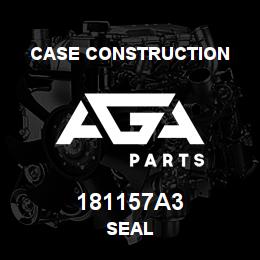 181157A3 Case Construction SEAL | AGA Parts