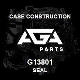 G13801 Case Construction SEAL | AGA Parts
