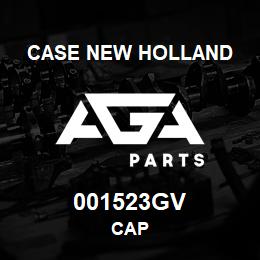 001523GV CNH Industrial CAP | AGA Parts