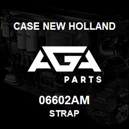 06602AM CNH Industrial STRAP | AGA Parts