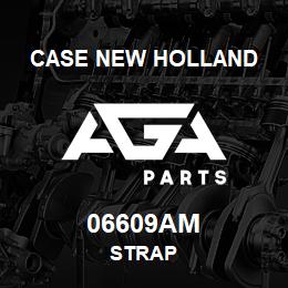 06609AM CNH Industrial STRAP | AGA Parts