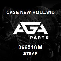 06651AM CNH Industrial STRAP | AGA Parts