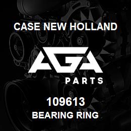 109613 CNH Industrial BEARING RING | AGA Parts