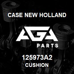 125973A2 CNH Industrial CUSHION | AGA Parts