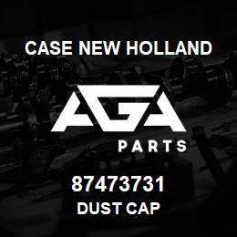 87473731 Case New Holland DUST CAP | AGA Parts