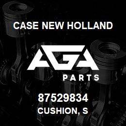 87529834 Case New Holland CUSHION, S | AGA Parts