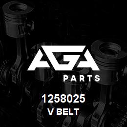1258025 Caterpillar V BELT | AGA Parts