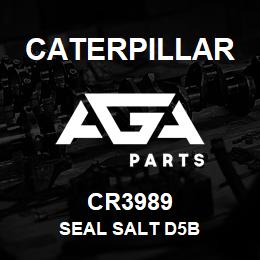 CR3989 Caterpillar SEAL SALT D5B | AGA Parts