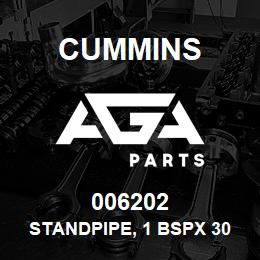 006202 Cummins Standpipe, 1 BSPx 300mm 0302990 | AGA Parts